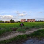 Trekking in the Wood with picnic on the turtles lake - The Perfect Picnic Setting at Turtle Lake