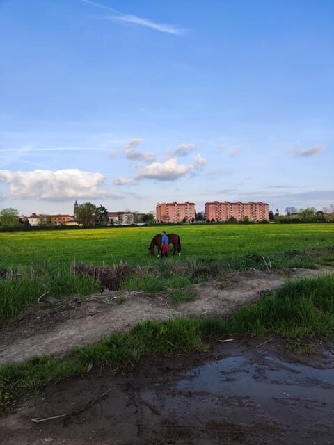 Trekking in the Wood with picnic on the turtles lake - The Perfect Picnic Setting at Turtle Lake