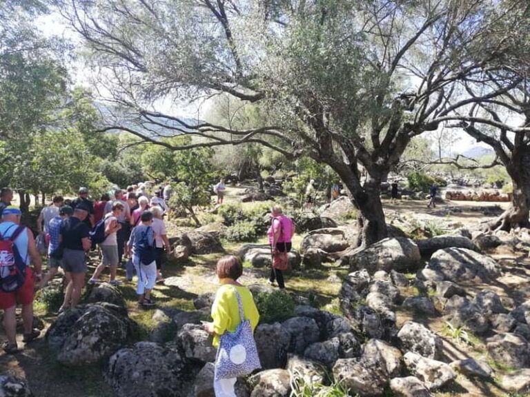 Trenino Supramonte: Guided tour of Golgo plateau - Transportation and Group Sizes