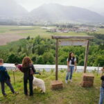 Trentino Agriconda: frutTIAMO...Explore, Learn, Taste Small Fruits - Who Will Love This Tour?