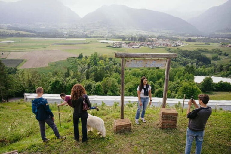 Trentino Agriconda: frutTIAMO...Explore, Learn, Taste Small Fruits - Who Will Love This Tour?