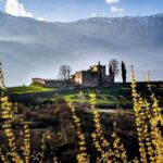 Trento: Balter Winery Guided Tour with Wine Tasting - Final Thoughts