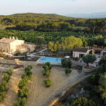 Treurer: Olive Oil Night. Gastronomic experience - The Welcome and Estate Introduction