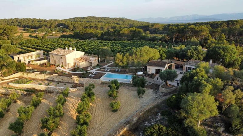 Treurer: Olive Oil Night. Gastronomic experience - The Welcome and Estate Introduction