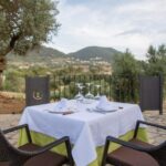 Treurer: Tapas Gourmet and Extra Virgin Olive Oil - Price & Value Analysis