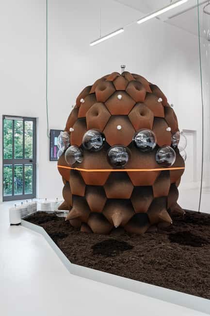 Triennale Milano: Guided Tour to the Exhibition We the Bacteria - Breaking Down the Itinerary