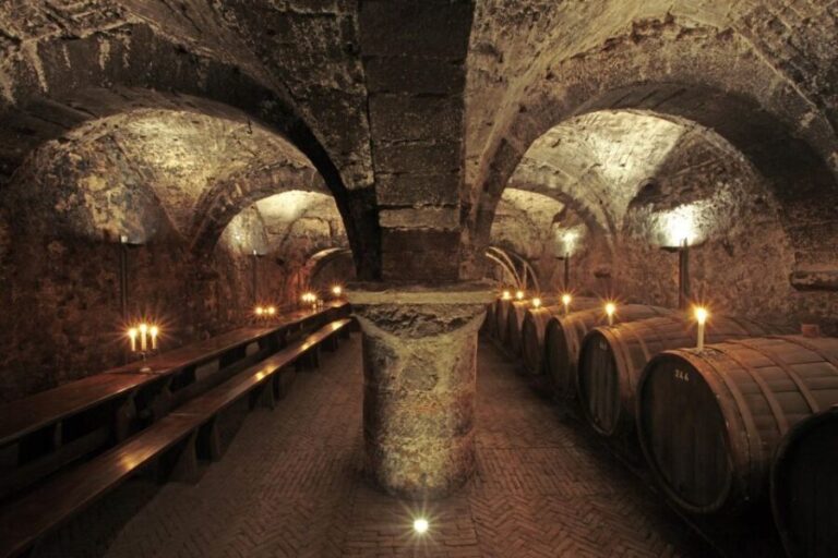Trier: Discovery tour - Germany's oldest wine cellar - The Value and Who It’s Best For