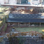 Trier: Roman thermal baths and bathing culture - Final thoughts