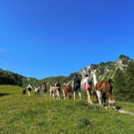 Triesenberg: Walk with Llamas in the Mountains - Final Thoughts