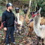 Triesenberg: Walking Tour with Llamas and Cheese Raclette - An In-depth Look at the Experience