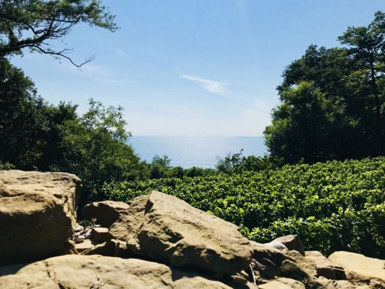 Trieste: 2.5-Hour Prosecco Origins Tour and Tastings - Price and Value: Is It Worth It?