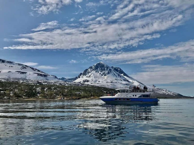 Tromsø: 2-Hour Island Tour Cruise with Snacks and Drinks - The Comfort & Amenities