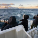 Tromsø: 24hr Northern Lights & Whale Watching Cruise - The Itinerary in Detail