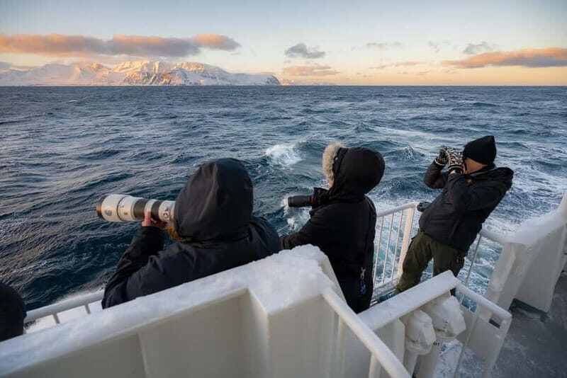 Tromsø: 24hr Northern Lights & Whale Watching Cruise - The Itinerary in Detail