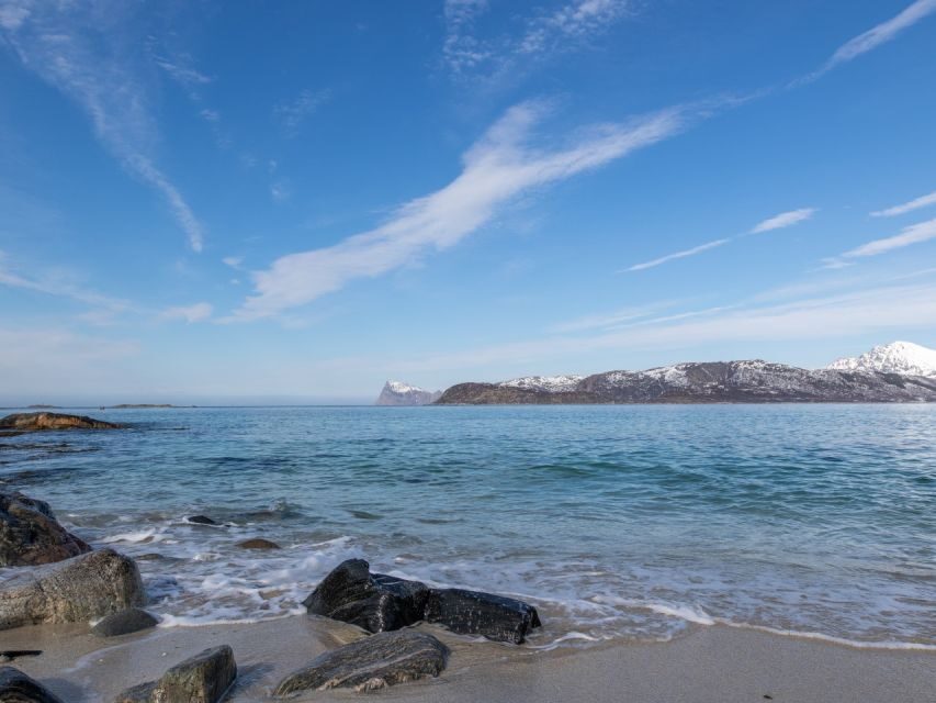 Tromso: All-Inclusive Arctic Fjords and Sommarøy Scenic Tour - A Deep Dive into the Experience