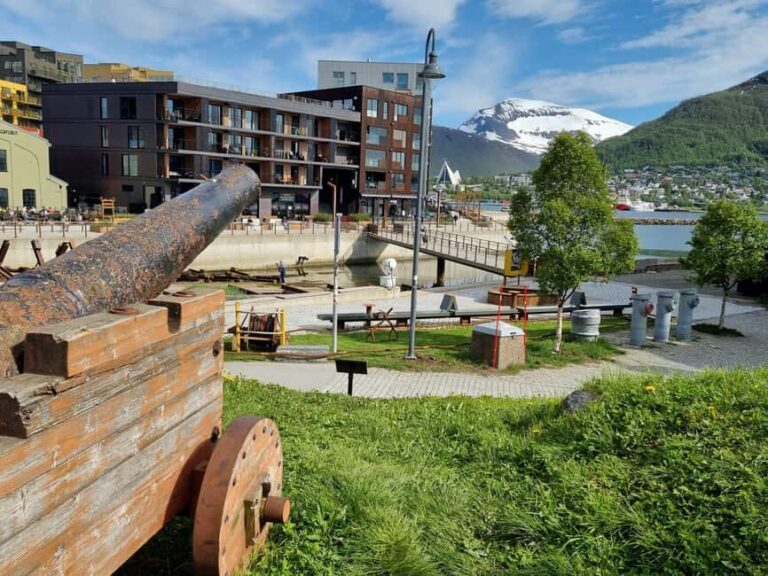Tromsø: Arctic Cathedral and City Walking Tour - Practical Details and Considerations