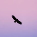 Tromsø: Arctic Fjord Cruise in Polar Landscapes - Final Thoughts