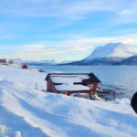 Tromsø: Artic Fjord tour - Overview of the Tromsø Arctic Fjord Tour