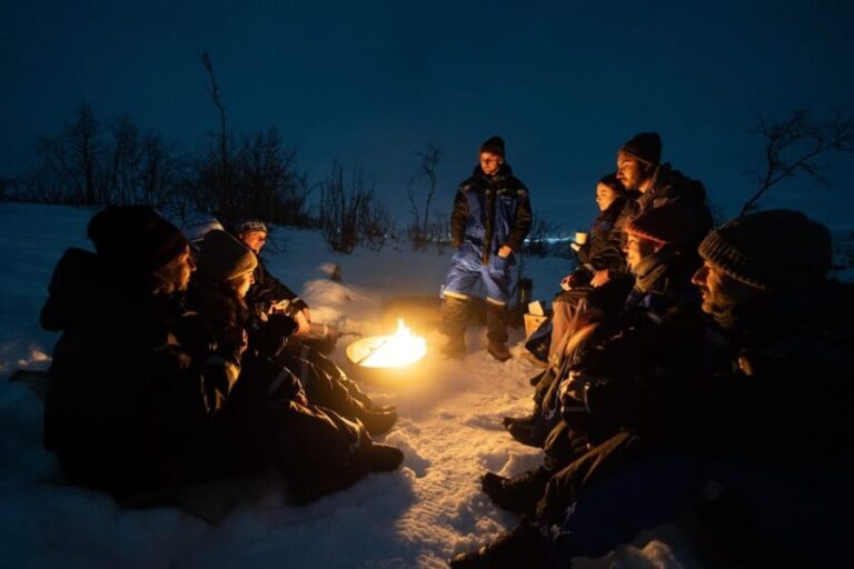 Tromsø: Aurora Borealis, Campfire, Hot Meal, Arctic Tour - Why Choose This Tour?