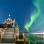 Tromsø: Aurora Dinner Cruise by Hybrid-Electric Catamaran - What Sets This Tour Apart