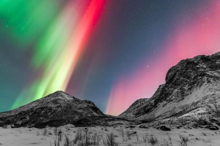 Tromsø: Aurora Quest Minibus Adventure - The Itinerary: How the Evening Unfolds