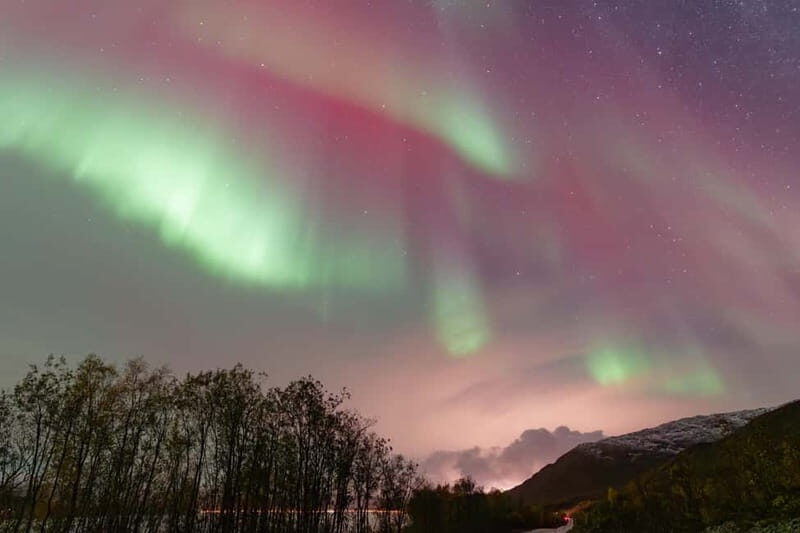 Tromsø: Aurora Quest small group Adventure - Is This Tour Worth It?