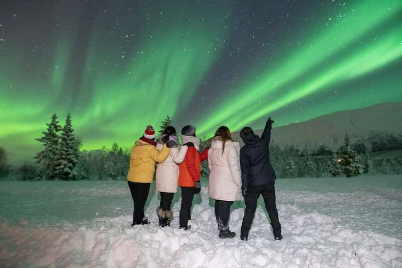Tromsø: Aurora Safari Chase by big bus with Camp meal - Why This Tour Offers Value