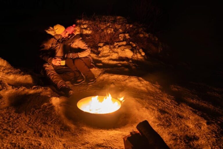 Tromsø: Aurora Tour with Campfire and Professional Photos - Who Is This Tour Best For?