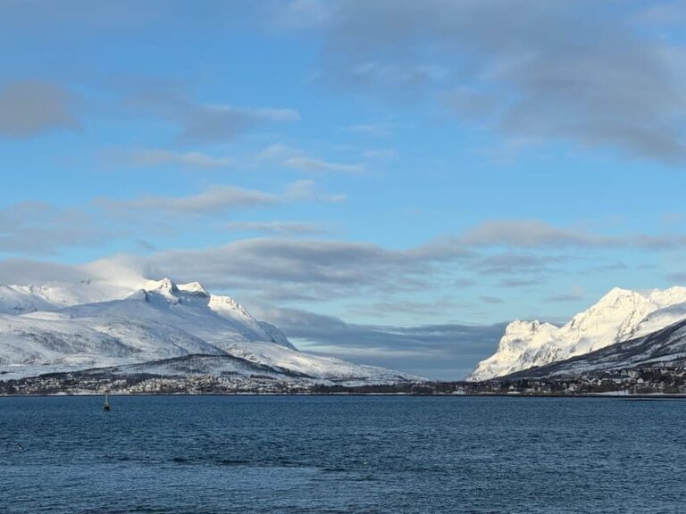Tromsø: Aurora Tour with Guide and Photos - Max. 15 ppl - FAQ