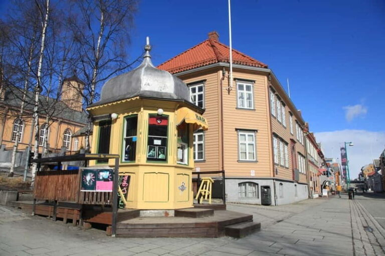 Tromsø: City Walk & Polar Museum (Private or Shared) - An In-Depth Review of the Tromsø City Walk & Polar Museum Tour