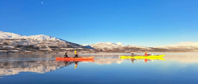 Tromsø: Easy Winter Kayaking Tour with Seal Watching - The Experience’s Strengths