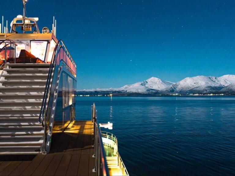 Tromsø: Electric Northern Lights Cruise - What Sets This Tour Apart
