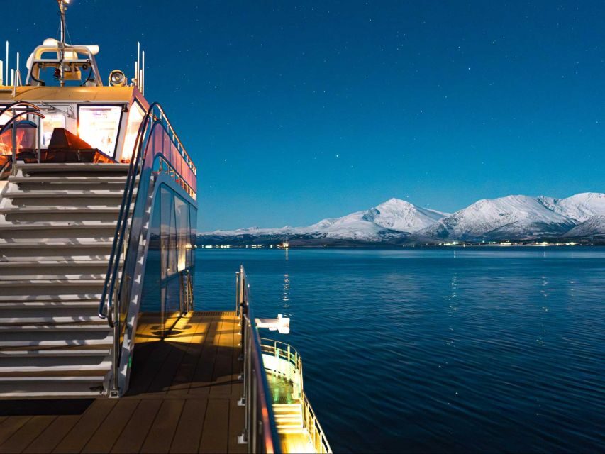 Tromsø: Electric Northern Lights Cruise - What Sets This Tour Apart