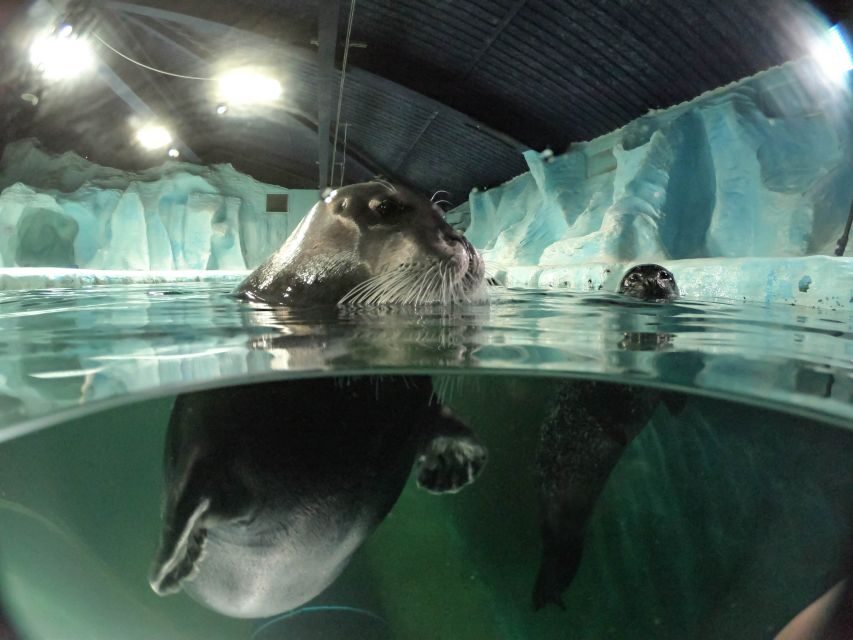 Tromsø: Entrance Ticket to Polaria - Who Will Love Polaria?