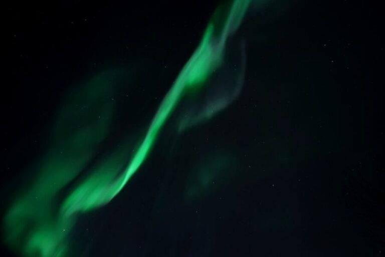 Tromsø: Evening Cruise with Northern Lights Opportunity - Authentic Experiences and Reviewer Insights