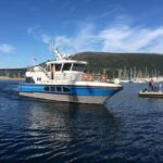 Tromsø: Evening Sightseeing Cruise All-inclusive - Analyzing the Value: Price and Experience