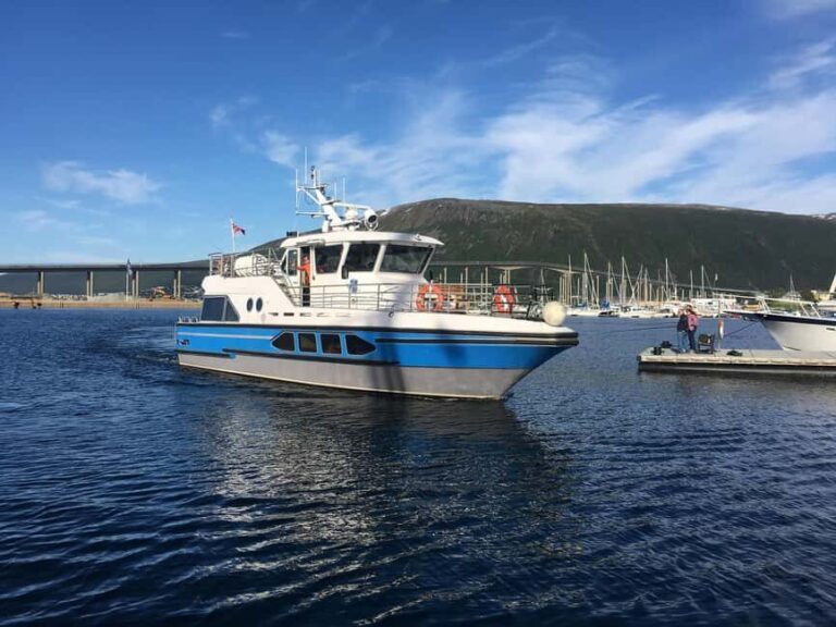 Tromsø: Evening Sightseeing Cruise All-inclusive - Analyzing the Value: Price and Experience