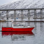 Tromsø: Fishing Sea Safari - The Value of the Experience