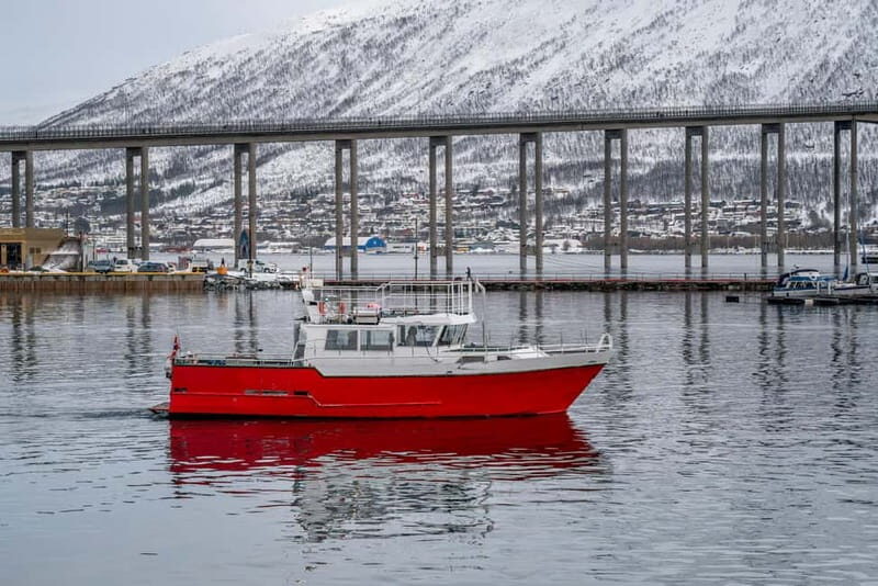 Tromsø: Fishing Sea Safari - The Value of the Experience