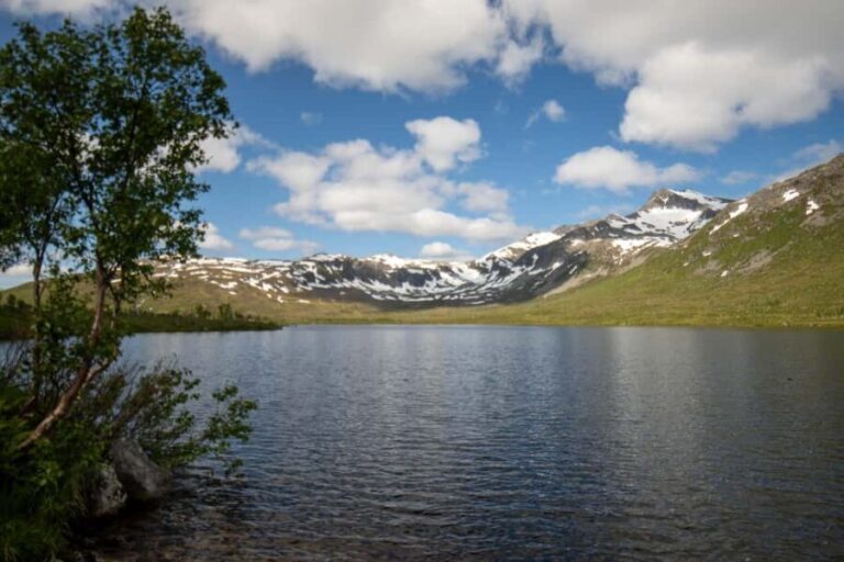 Tromsø: Fjord Adventure with Lunch and Photos - Analyzing the Value