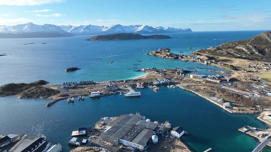 Tromsø Fjord Cruise - With a stop at Sommarøy Island - The Stop at Sommarøy Island