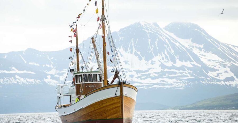 Tromsø: Fjord Fishing Cruise - Who Should Book This Tour?