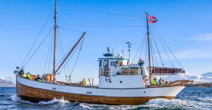 Tromsø: Fjord History Cruise with Snack and Drinks - The Itinerary Breakdown