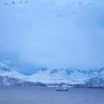 Tromsø: Fjord tour to Sommarøya - What’s Included and What You Should Bring
