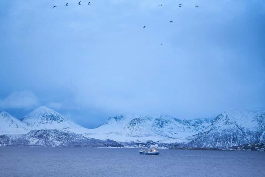 Tromsø: Fjord tour to Sommarøya - What’s Included and What You Should Bring