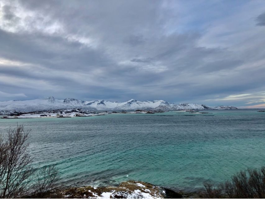 Tromsø: Fjords and Sommarøy Islands Tour with Salmon Picnic - Final Thoughts: Is This Tour Worth It?