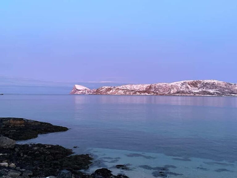 Tromsø: Fjords, Mountains and City Highlights Day Tour - Why the Views Matter