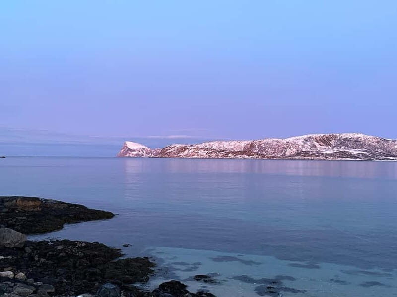 Tromsø: Fjords, Mountains and City Highlights Day Tour - Why the Views Matter