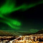 Tromsø: Full-Day Polar Expedition Cruise to Archipelago & Fj - Authentic Reviews and Insider Insights