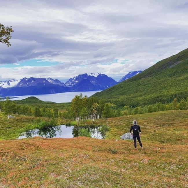 Tromsø: Guided Hiking Tour with Roundtrip Transfers - The Experience Breakdown